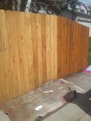 Fence Staining