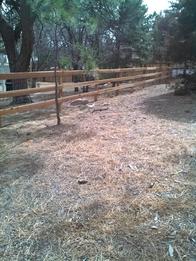 Fence Contractor