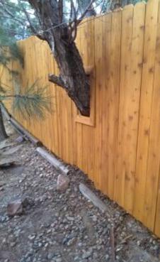 Wood Privacy Fence Company